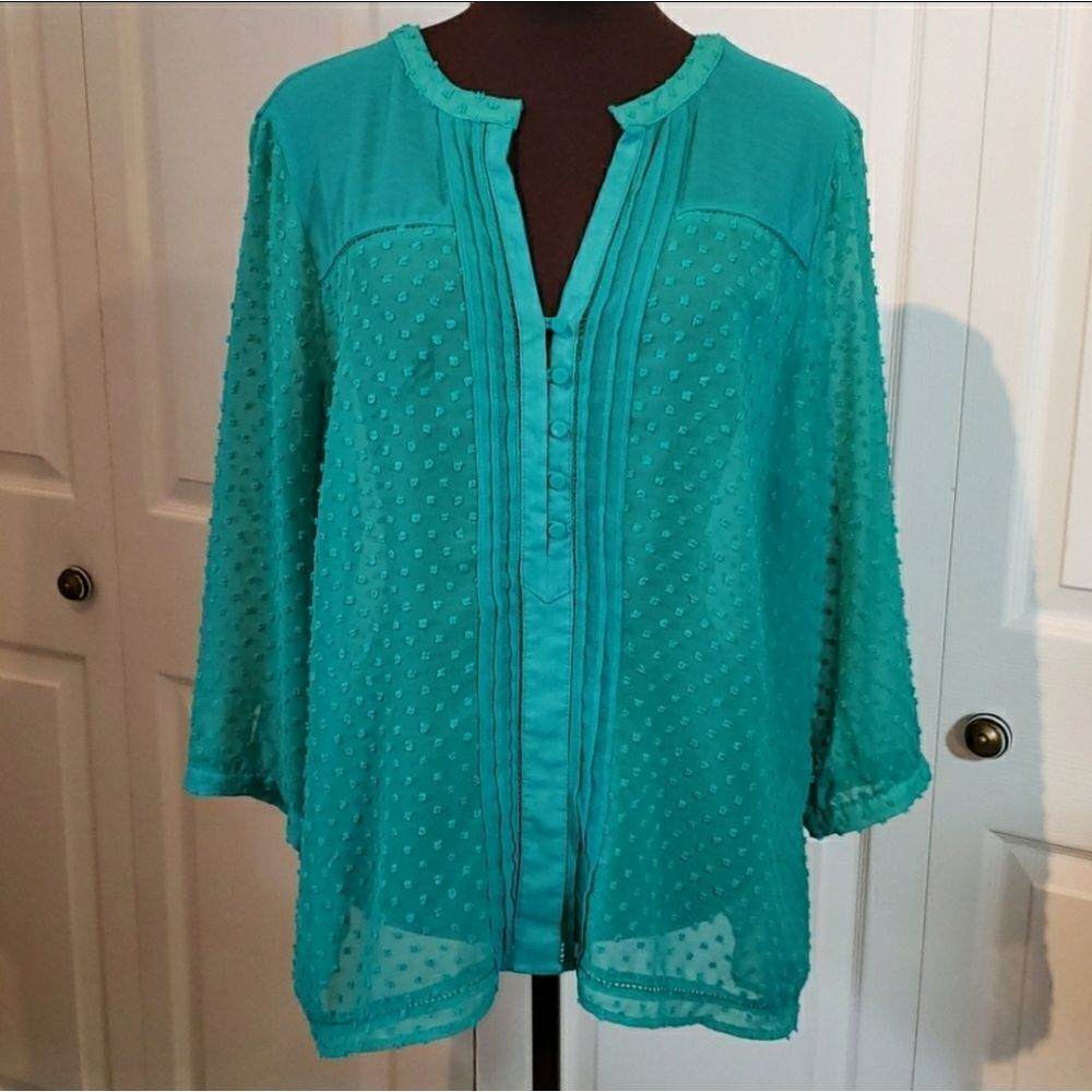 Romy Sheer Green Long Sleeve Blouse